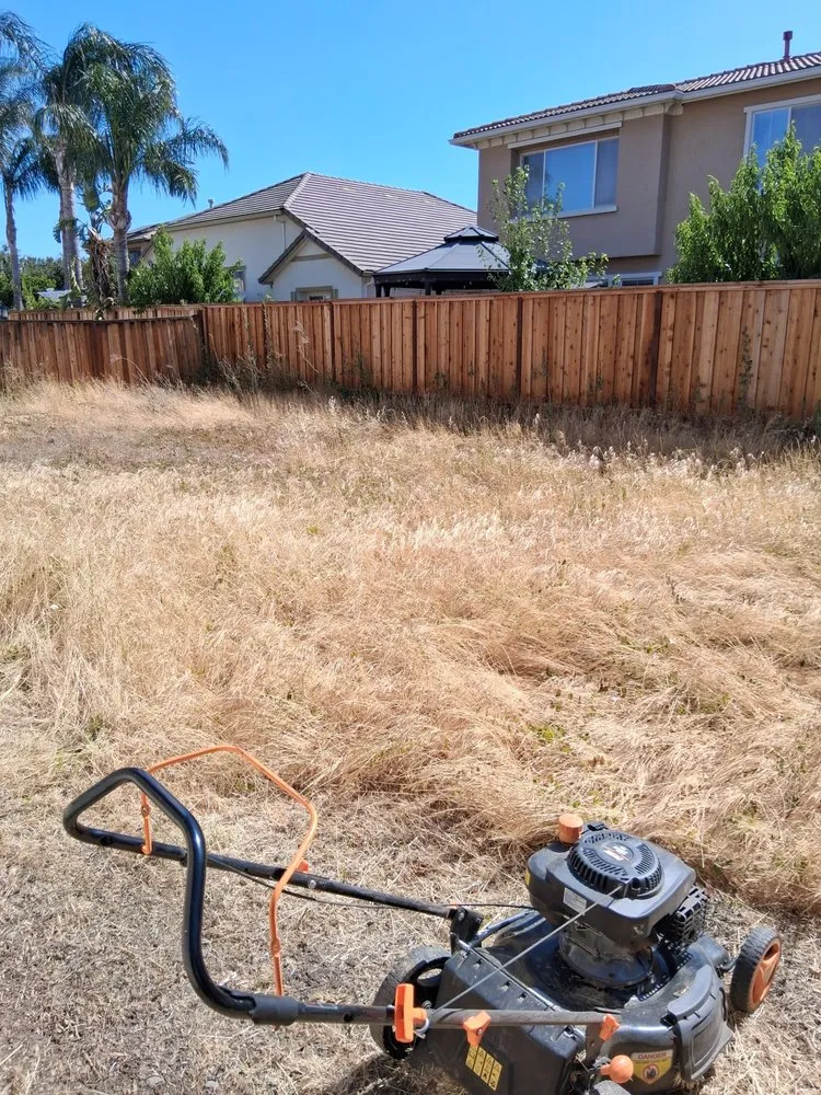 Affordable landscape design for beautiful yards across Tracy, CA - Yard Maintenance