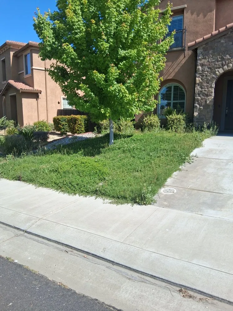 Trusted outdoor landscaping experts serving Tracy, CA - Yard Maintenance