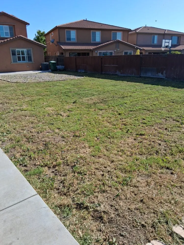 Local outdoor landscaping in Tracy, CA - Yard Maintenance