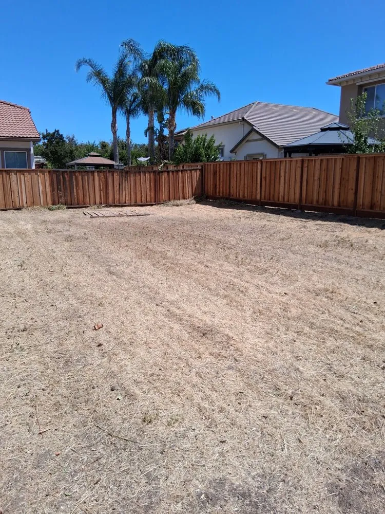 Affordable landscaping services in Tracy, CA by Yard Maintenance