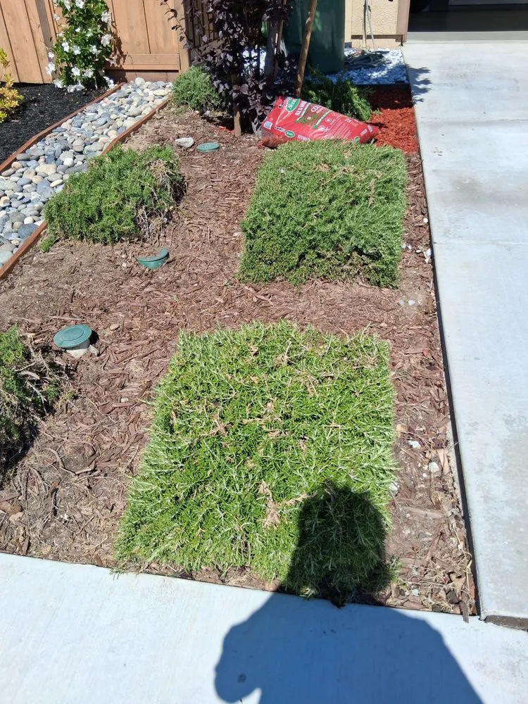 Custom landscape design for outdoor upgrades across Tracy, CA - Yard Maintenance