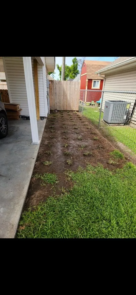 Trusted yard cleanup service in Ewa Beach, HI - Yard Man Hawaii