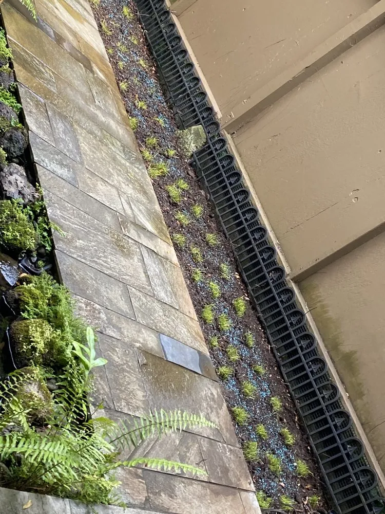 Professional landscape design in Ewa Beach, HI - Yard Man Hawaii