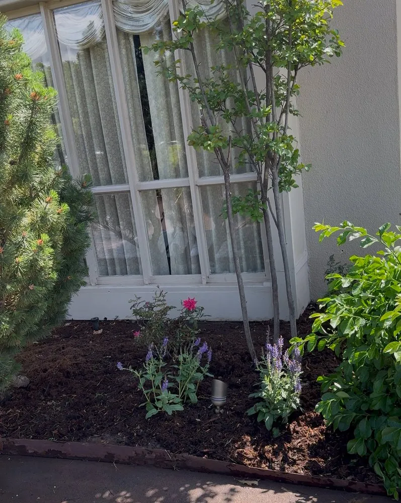 Top-rated yard cleanup service for homes in Warr Acres, OK by Yard-Man