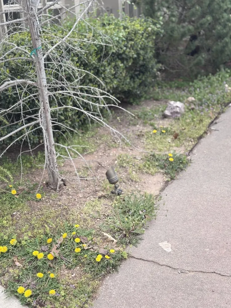 Expert landscape installation for beautiful yards across Warr Acres, OK - Yard-Man