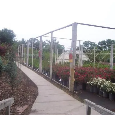 Top-rated yard maintenance for year-round maintenance in Omaha, NE by Yard Market