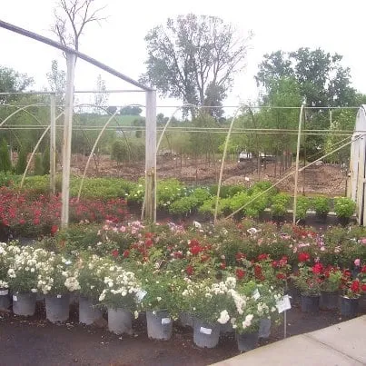 Professional lawn care service experts serving Omaha, NE - Yard Market