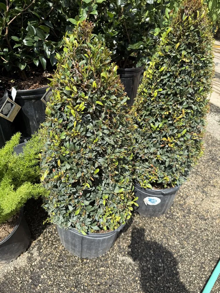 Professional lawn care service experts serving Houston, TX - Yard Master