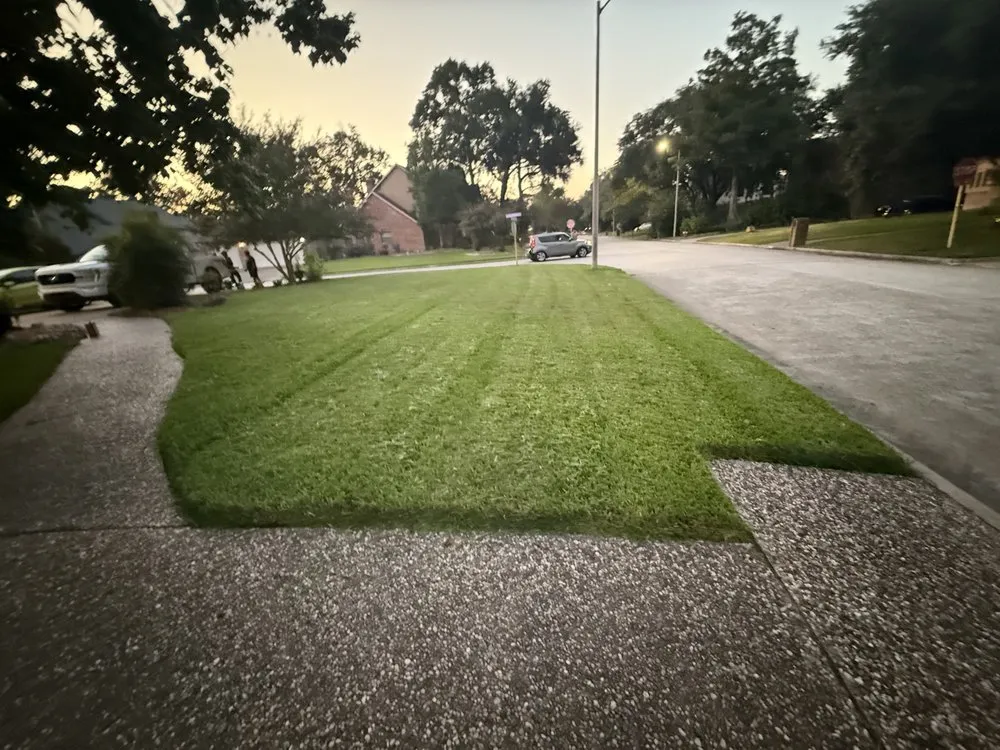 Local lawn care service for homes in Houston, TX by Yard Master
