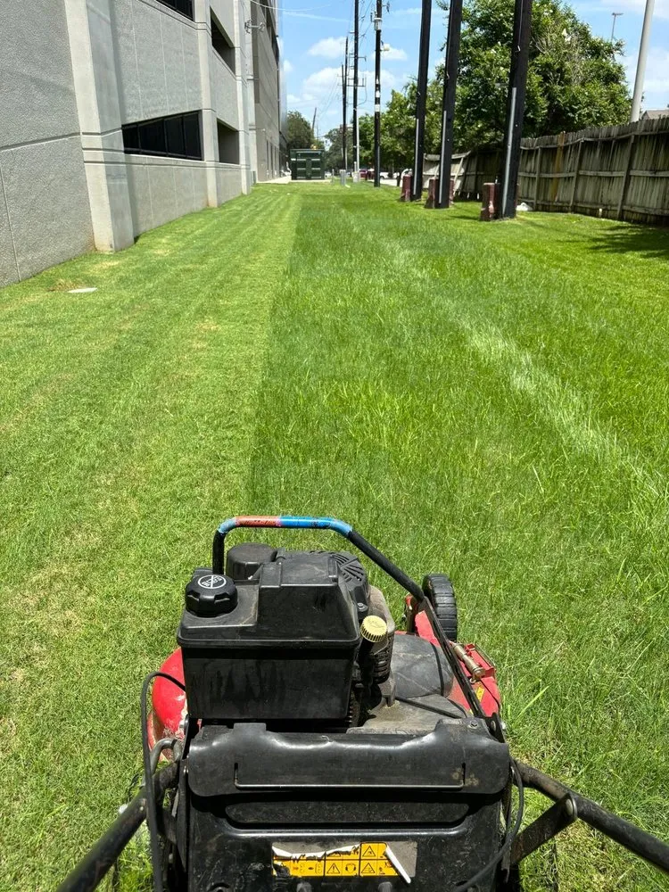Custom outdoor landscaping for year-round maintenance in Houston, TX by Yard Master