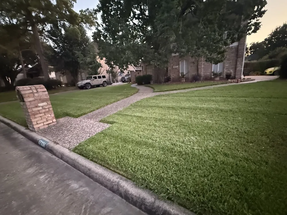 Reliable yard cleanup service experts serving Houston, TX - Yard Master