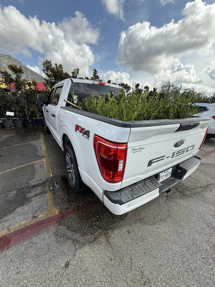 Reliable yard cleanup service in Houston, TX by Yard Master