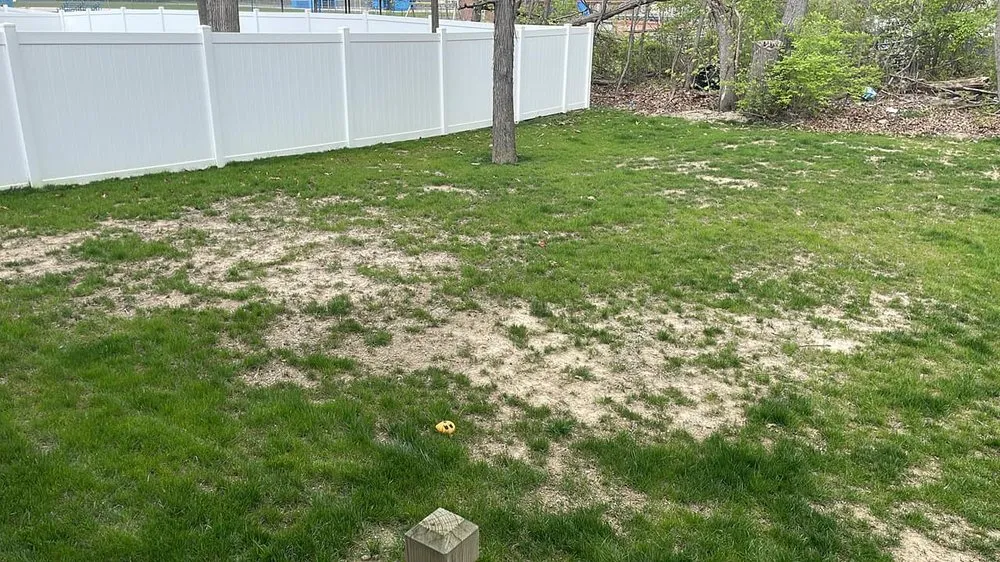 Expert landscaping services in Milan, MI by Yard Master Lawn & Lanscape LLC