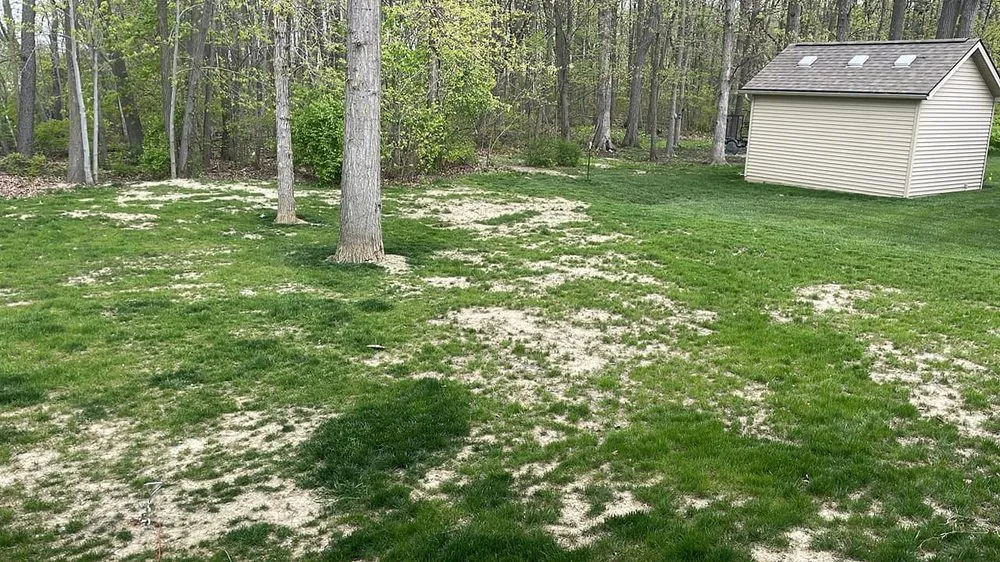 Local yard cleanup service experts serving Milan, MI - Yard Master Lawn & Lanscape LLC