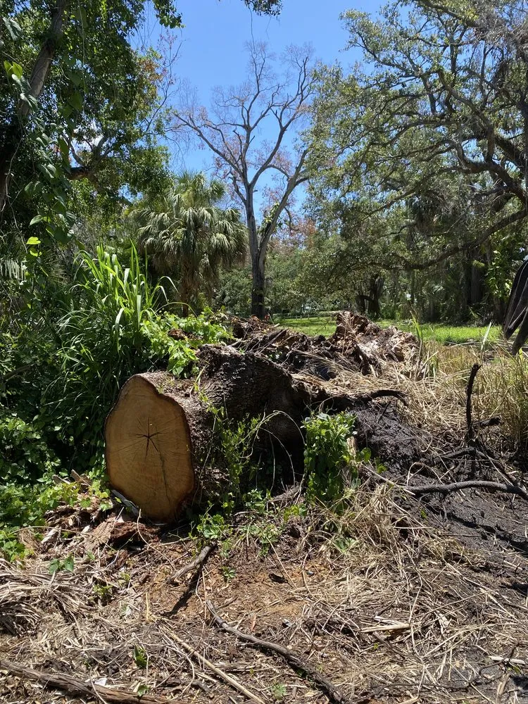 Local garden landscaping for year-round maintenance across Riverview, FL - Yard Master