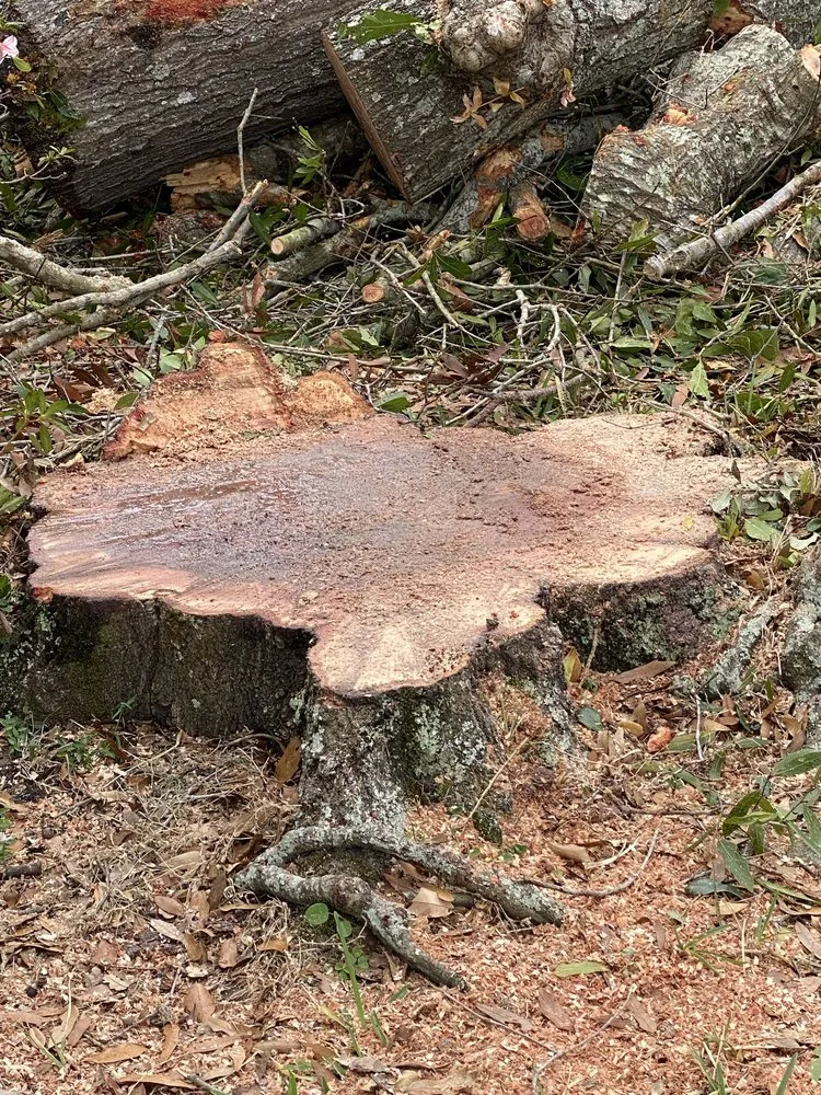 Local lawn care service in Riverview, FL - Yard Master