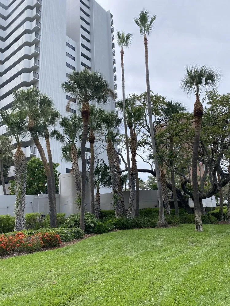 Expert landscaping services in Riverview, FL - Yard Master