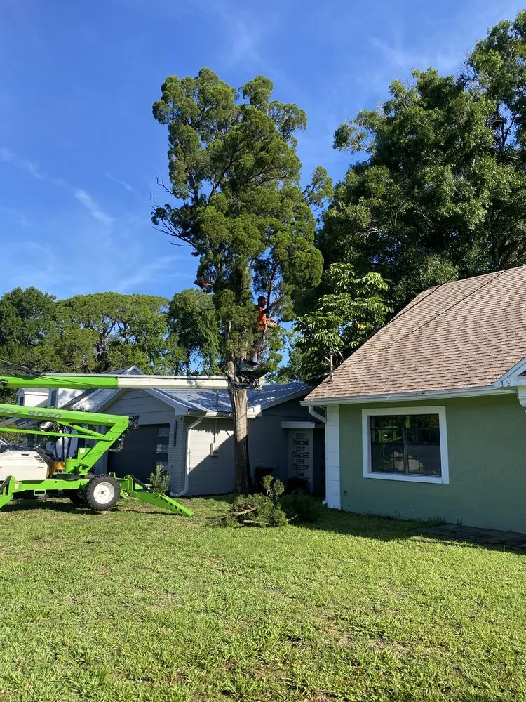 Local yard cleanup service in Riverview, FL by Yard Master