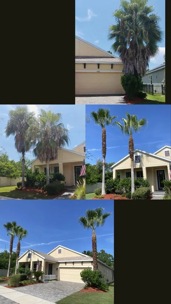 Trusted yard cleanup service in Riverview, FL by Yard Master