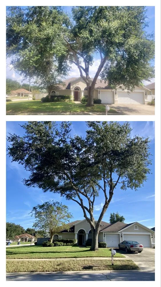 Professional garden landscaping in Riverview, FL by Yard Master