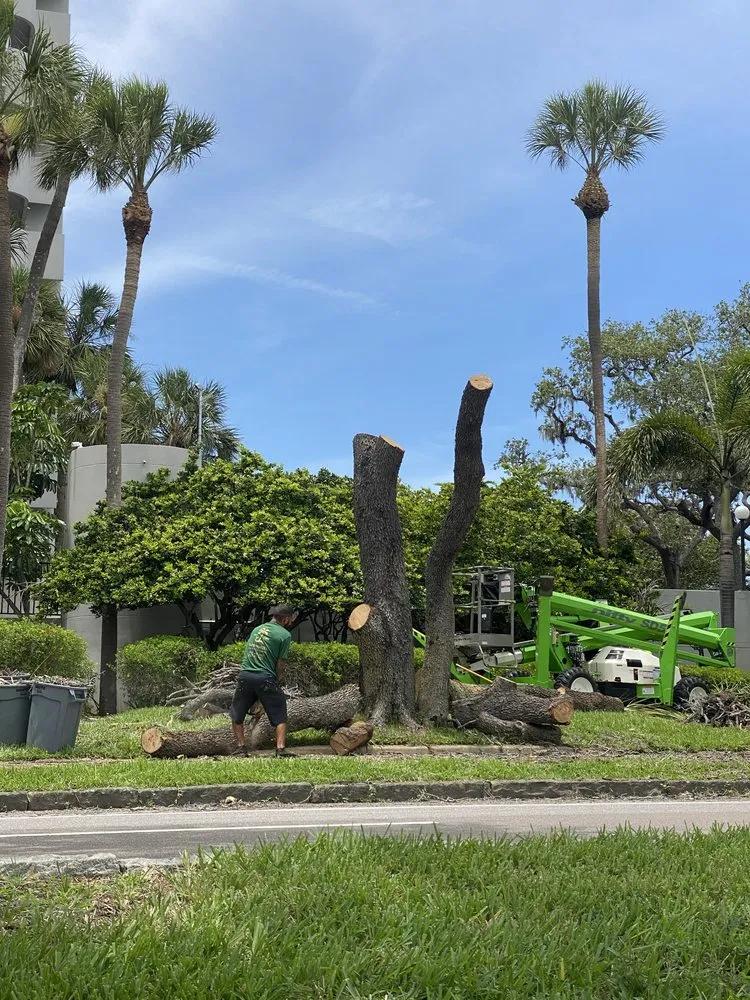 Reliable garden landscaping in Riverview, FL by Yard Master