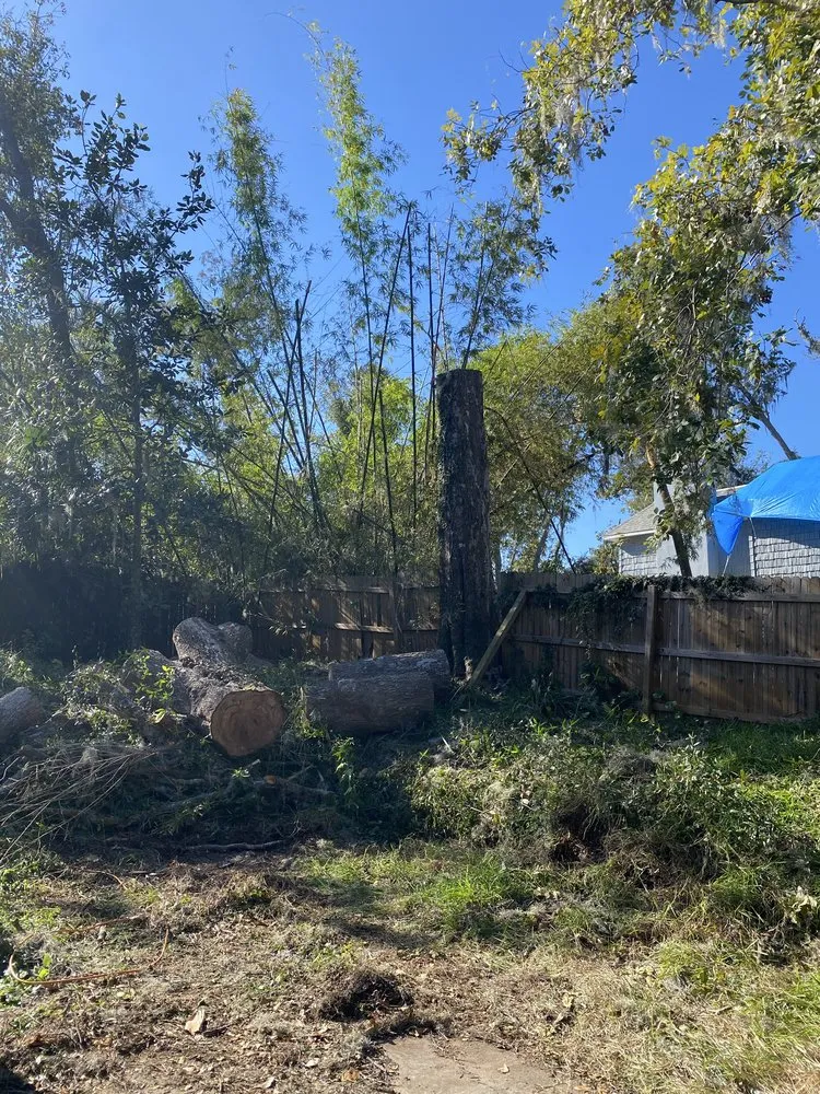 Affordable landscaping services near you across Riverview, FL - Yard Master