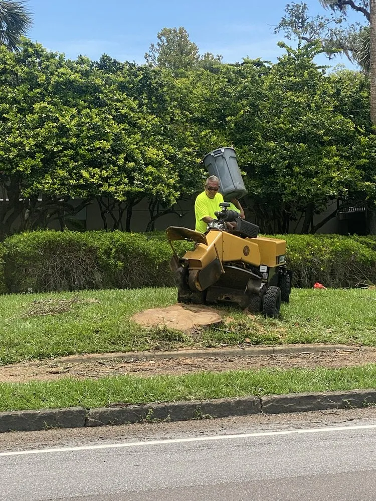 Top-rated garden landscaping in Riverview, FL - Yard Master