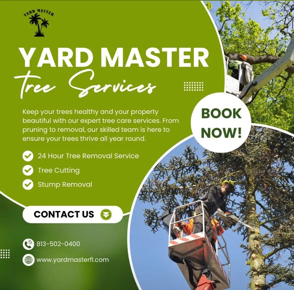 Expert landscape design for outdoor upgrades in Riverview, FL by Yard Master