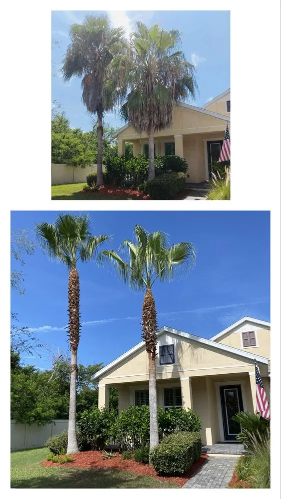 Custom yard maintenance near you across Riverview, FL - Yard Master