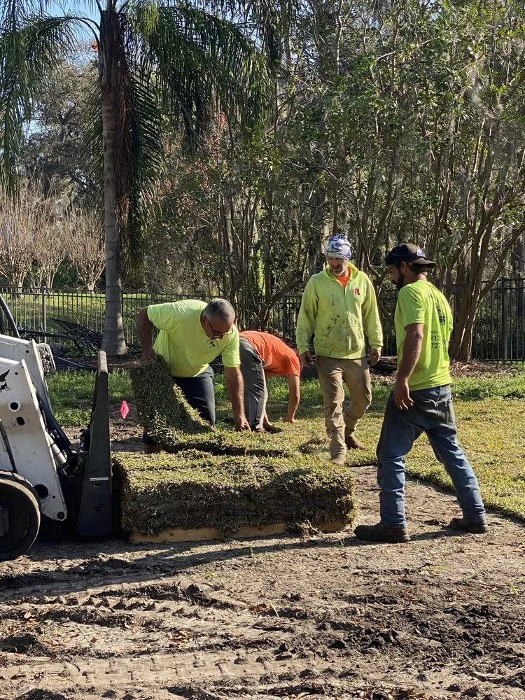 Affordable yard cleanup service in Riverview, FL by Yard Master