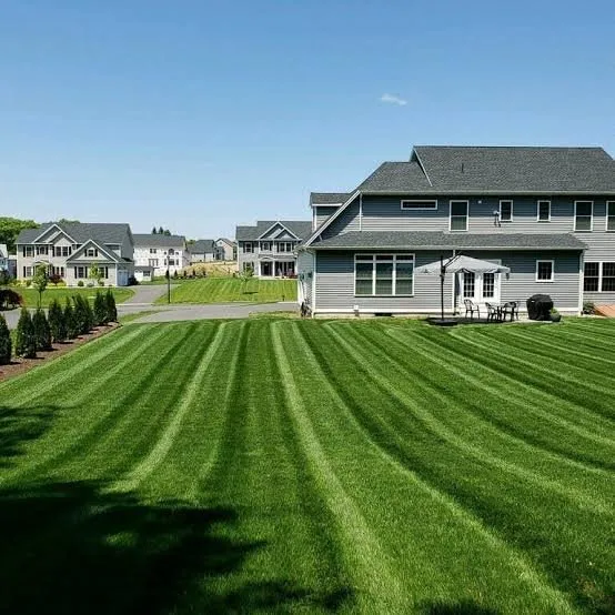 Local yard maintenance experts serving Akron, OH - Yard Masters