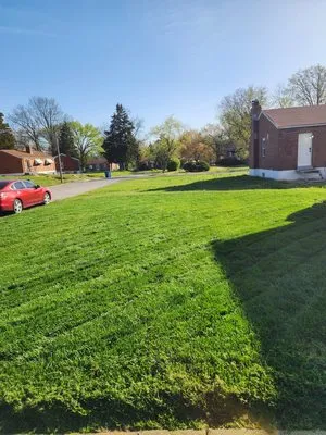 Yard Masters Lawn Care