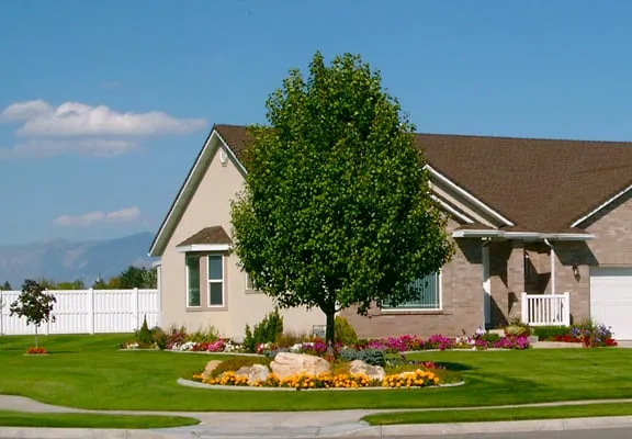 Local yard cleanup service for outdoor upgrades across Ogden, UT - Yard Masters