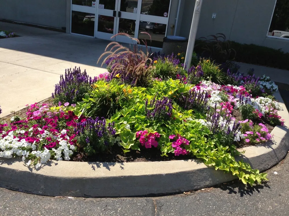 Local yard cleanup service in Ogden, UT by Yard Masters