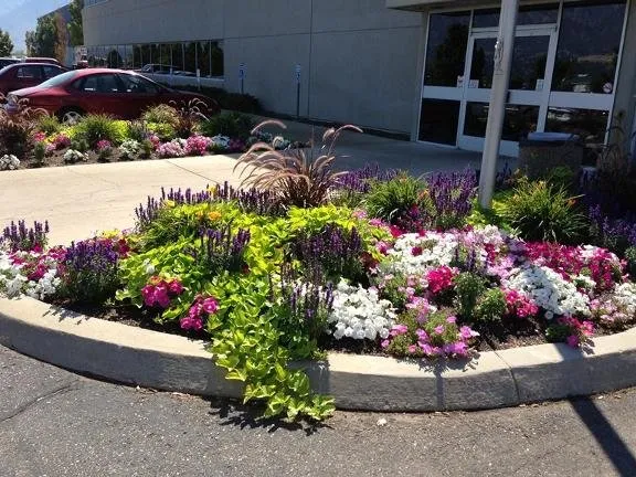 Affordable landscape installation in Ogden, UT - Yard Masters