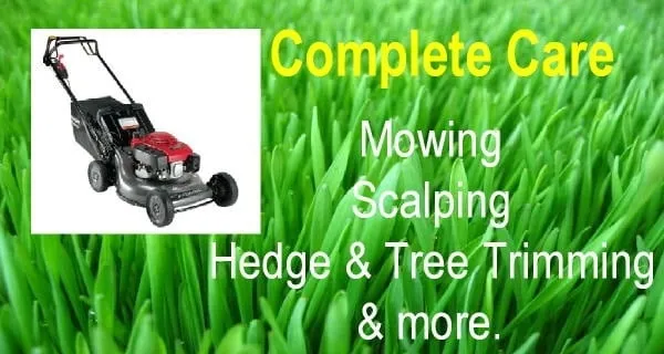 Custom landscape installation experts serving Merced, CA - Yard Max