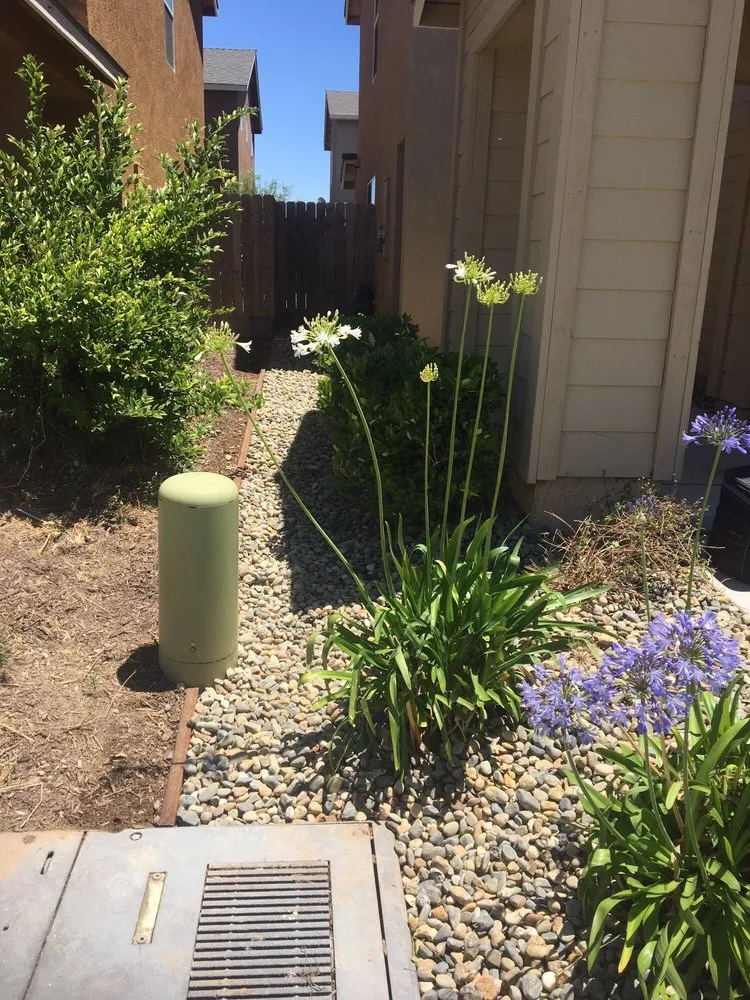 Expert lawn mowing service for homes in Merced, CA by Yard Max