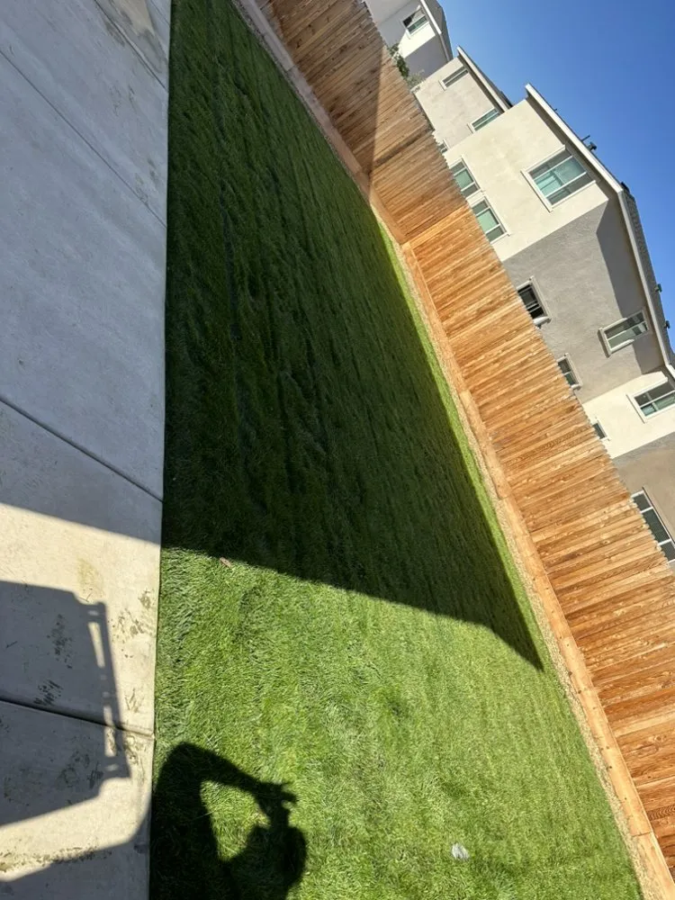 Trusted yard cleanup service for year-round maintenance in Merced, CA by Yard Max