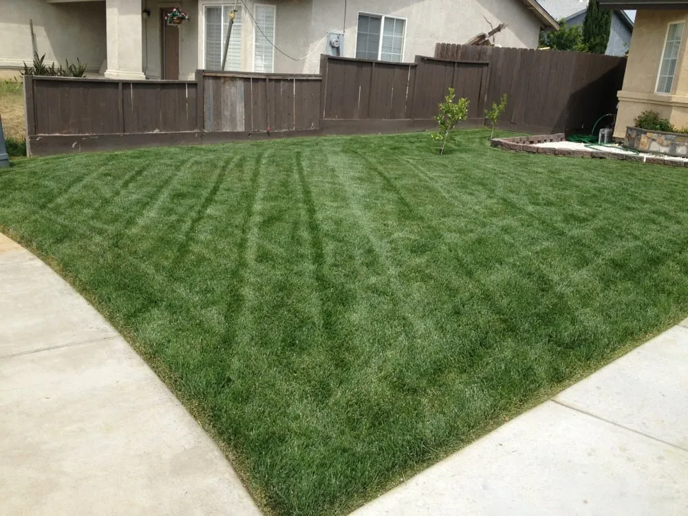 Professional lawn care service in Merced, CA by Yard Max