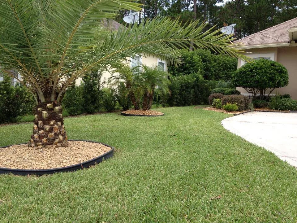 Affordable residential landscaping in West Melbourne, FL - Yard Medics