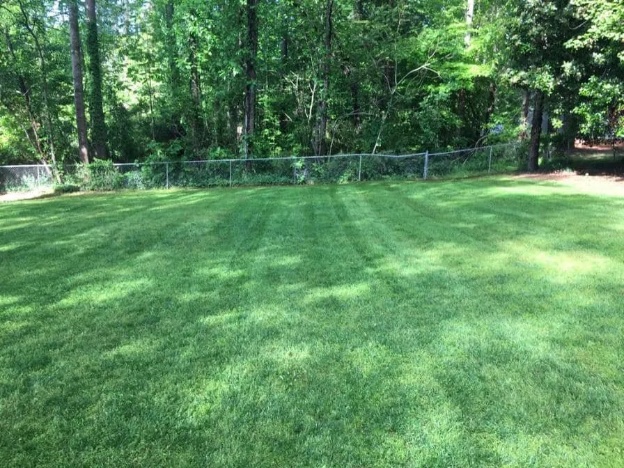 Local yard maintenance experts serving Hickory, NC - Yard 'N Gnome Lawncare