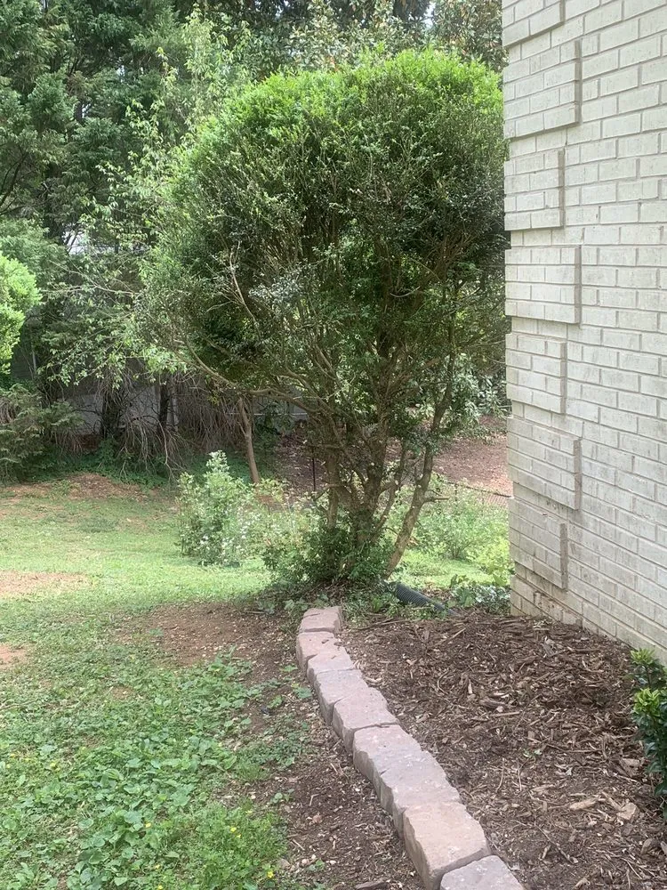 Reliable lawn care service near you across Hickory, NC - Yard 'N Gnome Lawncare