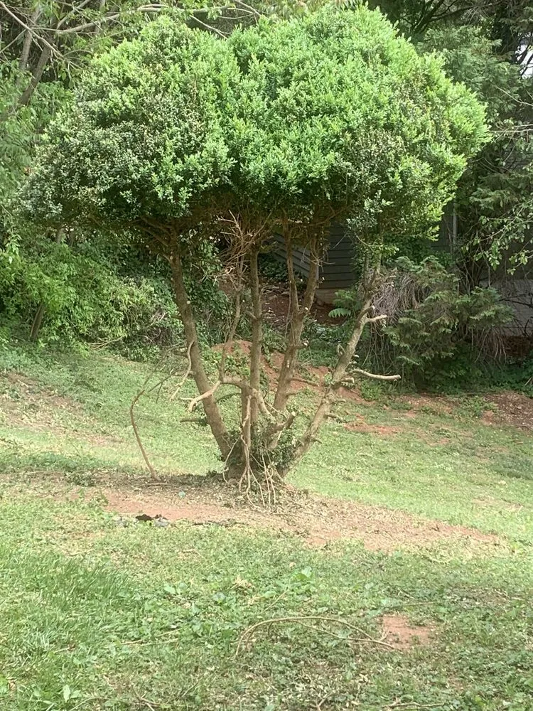 Custom residential landscaping for residential properties in Hickory, NC by Yard 'N Gnome Lawncare