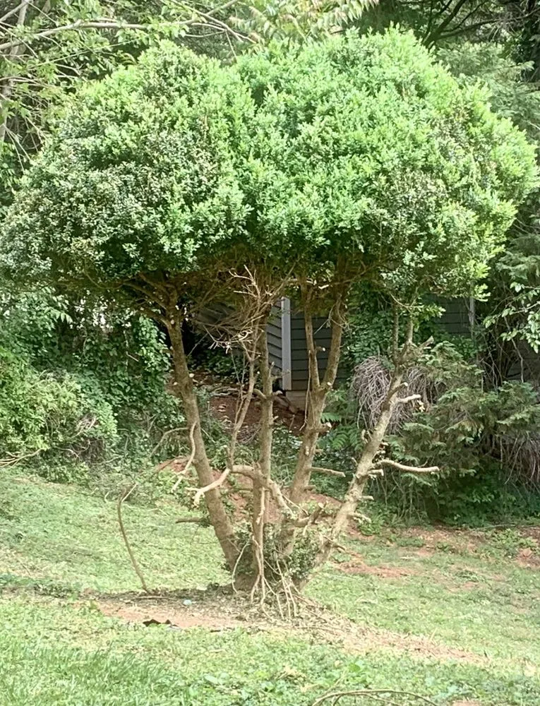 Top-rated garden landscaping in Hickory, NC - Yard 'N Gnome Lawncare