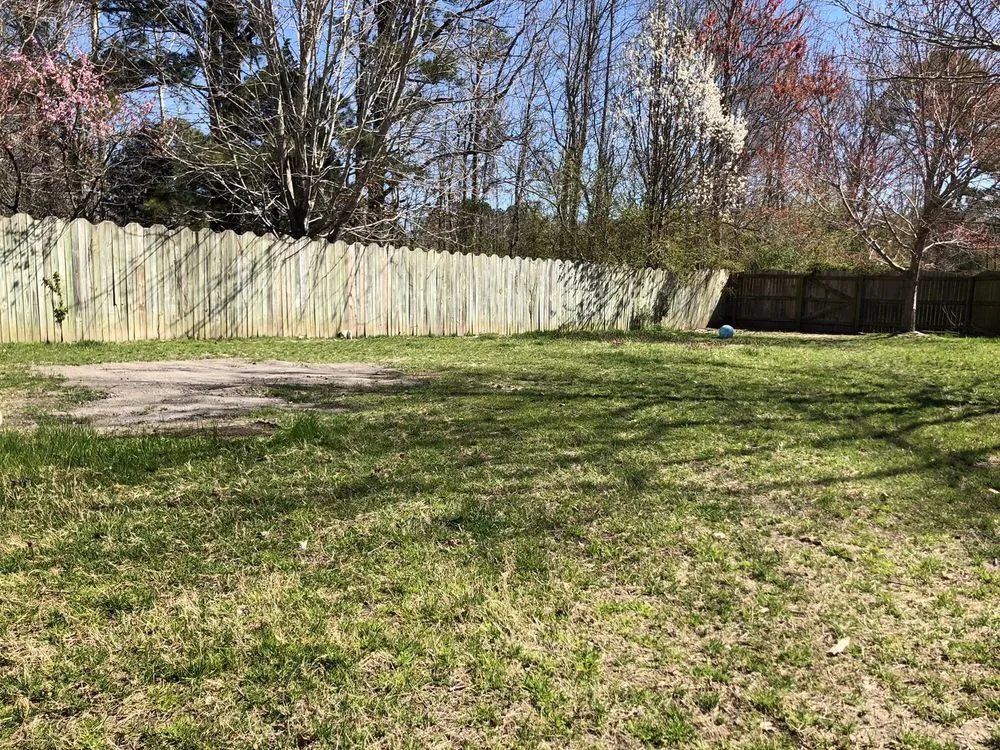 Top-rated lawn care service for year-round maintenance across Norfolk, VA - Yard Perfect