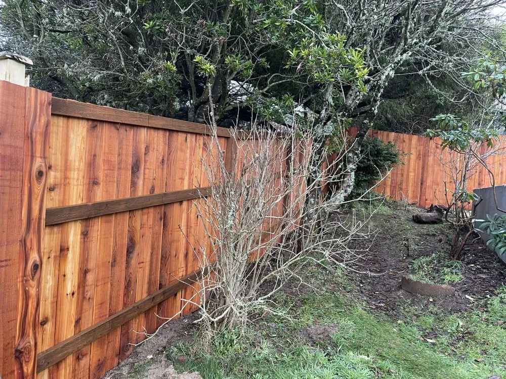 Reliable lawn mowing service near you across Independence, OR - Yard Perfections