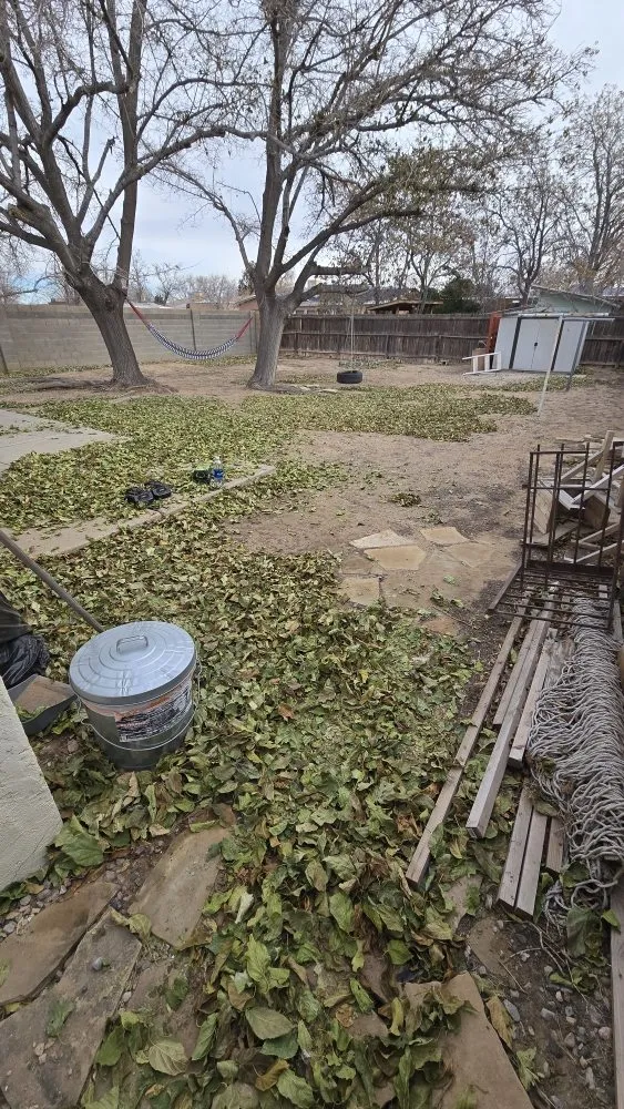 Trusted landscape design for year-round maintenance in Laguna, NM by Yard police