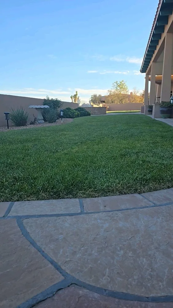 Expert landscape design in Laguna, NM by Yard police