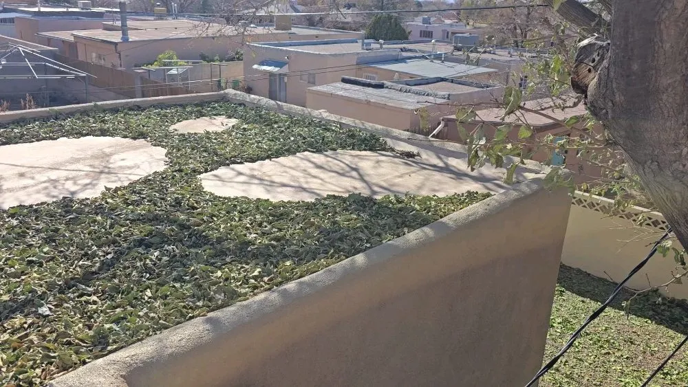 Local garden landscaping for residential properties in Laguna, NM by Yard police