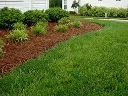 Local landscape design in Berea, KY - Yard Pro